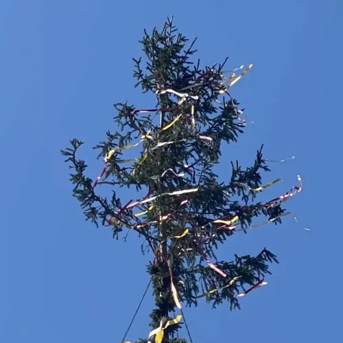 1. Maifeier Döbriach