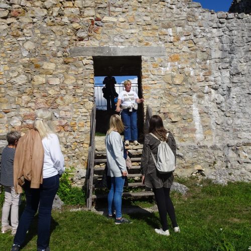 WhatsApp Image 2025-02-06 at 22.19.35